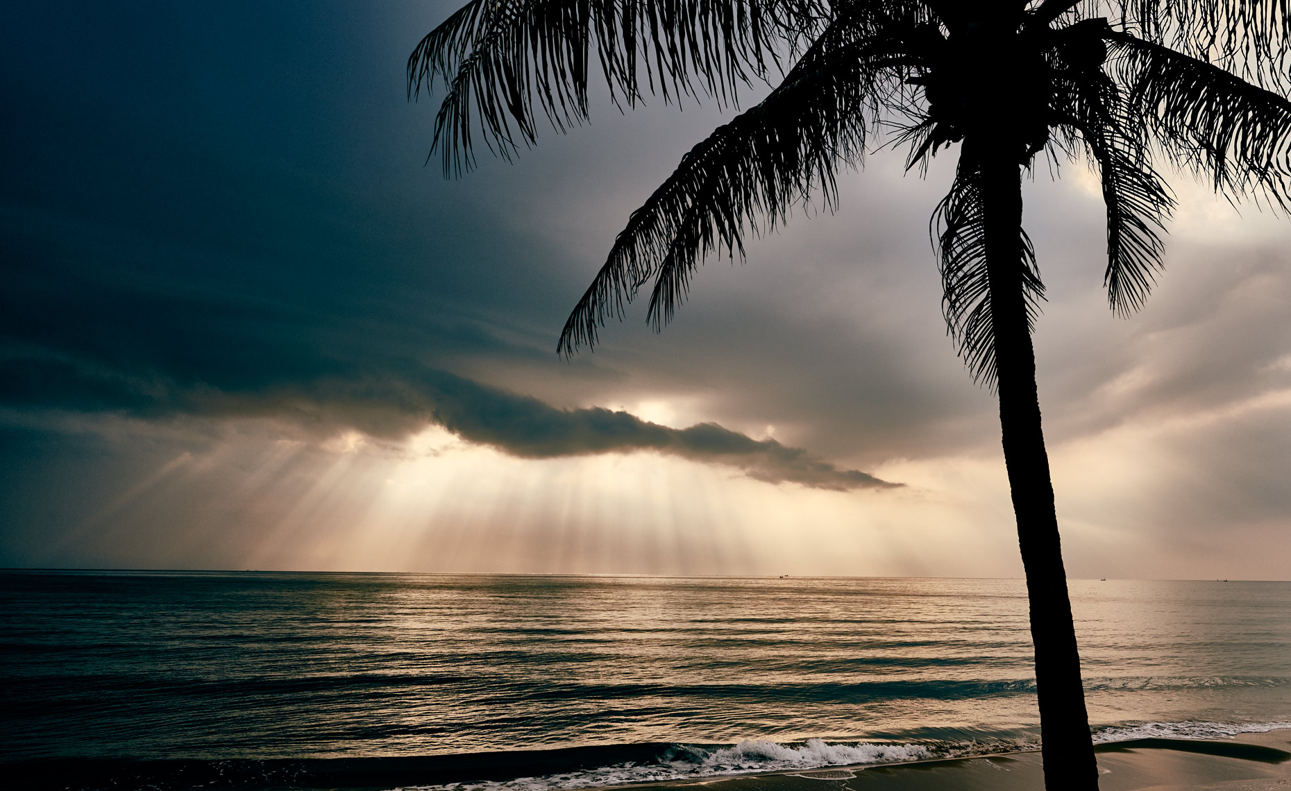 Sunset behind palm tree 